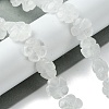 Natural Quartz Crystal Beads Strands G-H023-B17-01-2