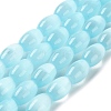 Macaron Color Natural Selenite Beads Strands G-B102-A01-06-1