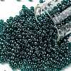 TOHO Round Seed Beads SEED-XTR08-0108BD-1