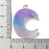 Gradient Color Resin Pendants FIND-Z010-01B-3