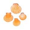 Natural Scallop Shell Beads SSHEL-N040-04-1