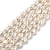 Natural Cultured Freshwater Pearl Beads Strands PEAR-L033-33D-1