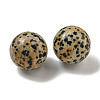 Natural Dalmatian Jasper Round Ball Figurines Statues for Home Office Desktop Decoration G-P532-02A-32-2