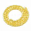 Natural Freshwater Shell Beads Strands SHEL-N003-25-B05-2