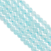 2 Strands Natural Amazonite Beads Strands G-OC0005-35-1