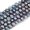 Natural Cultured Freshwater Pearl Beads Strands PEAR-P064-20B-02B-2