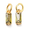 Brass Micro Pave Cubic Zirconia Charms X-ZIRC-F111-03G-09-1