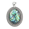Natural Paua Shell Pendants SH-K001-01A-1