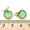 Brass Resin Charms KK-C110-24E-G-3