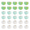 100Pcs Large Hole Resin European Beads OPDL-TA0001-06B-1