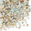 2 Strands 2 Styles Natural Flower Amazonite Beads Strands G-TA0003-07-3