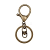 10Pca Iron with Zinc Alloy Keychain Clasps PW-WG98F39-01-4