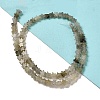Natural Labradorite Beads Strands G-G085-B25-02-2
