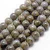 Natural Labradorite Bead Strands G-D840-64-8mm-1