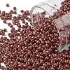 TOHO Round Seed Beads SEED-JPTR11-PF0564F-1