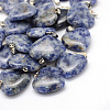 Heart Natural Blue Spot Jasper Pendants X-G-Q438-10-1