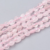 Natural Rose Quartz Beads Strands G-S151-06-1