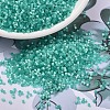 MIYUKI Delica Beads X-SEED-J020-DB1812-1
