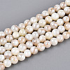 AB Color Natural Freshwater Shell Beads Strands BSHE-T014-40C-1