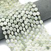 Natural Tianshan Cui Quartzite Beads Strands G-C116-A61-02-1
