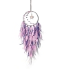 Iron Woven Web/Net with Feather Hanging Ornaments PW-WGCAE3B-03-1