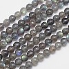 Natural Labradorite Round Bead Strands G-I156-06-6mm-1