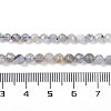 Natural Labradorite Beads Strands G-G139-A12-03-5