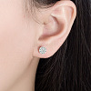 Brass Micro Pave Clear Cubic Zirconia Pendant Necklaces & Stud Earrings FS-WGDAB53-03-4