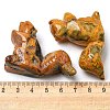 Natural Crazy Agate Carved Healing Squirrel Figurines DJEW-D012-01F-3