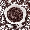 Baking Paint Glass Seed Beads SEED-A033-05F-2