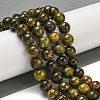 Natural Bumblebee Jasper Beads Strands G-P544-A03-02-2