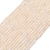 Natural Cultured Freshwater Pearl Beads Strands PA-CBABE82-08B-2