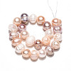 Natural Cultured Freshwater Pearl Beads Strands PEAR-N013-07O-01-2