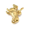 304 Stainless Steel Pendants STAS-P391-01A-G-2