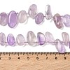 Natural Amethyst Beads Strands G-P604-A08-01-3