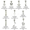 10Pcs 10 Styles Tibetan Style Alloy European Dangle Charms PALLOY-FZ00003-4