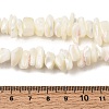 Natural White Mother of Pearl Shell Chip Bead Strands G-M205-63-6