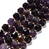 Natural Amethyst Beads Strands G-P568-B01-01-2