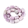 Natural Kunzite Beads Strands G-N362-07A-08-3