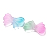 Frosted Transparent Acrylic Beads OACR-D315-04-2