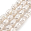 Natural Cultured Freshwater Pearl Beads Strands PEAR-P062-08B-1