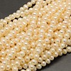 Natural Cultured Freshwater Pearl Beads Strands PEAR-F001-30-01-1