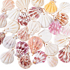 30Pcs Natural Shell Pendants PALLOY-PH01840-1