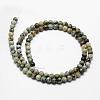 Natural African Turquoise(Jasper) Beads Strands G-D840-90-6mm-2