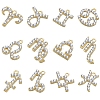 12Pcs 12 Style Alloy Rhinestone Pendants FIND-SZC0010-500-1