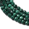 Natural Malachite Beads Strands G-H336-A07-02-4