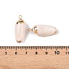 Natural Sea Shell Pendants SSHEL-N038-30A-3