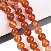 Dyed Natural Agate Beads Strands G-Q606-45A-04-1