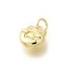 Brass Pendants KK-L225-007G-01-2