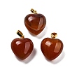 Natural Carnelian Pendants G-J386-H19-G-1